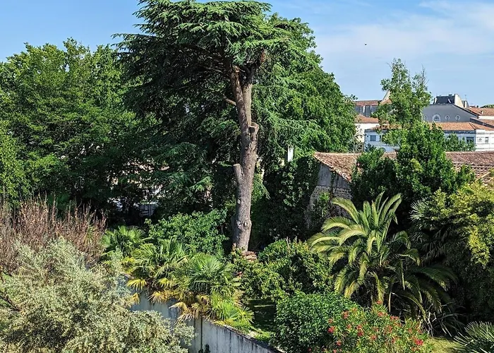 Apartamento Lumineux Pour 4 Pers., Centre-ville, équipements Bébé, Wifi, Garage, Dégustation Truffes Offertes - Fr-1-653-247 *